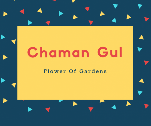 Chaman Gul Name Meaning Flower Of Gardens