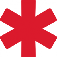 Anklesaria Nursing Home logo