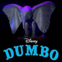 Dumbo 6