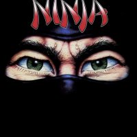 The Last  Ninja