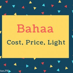 Bahaa Name Meaning Cost, Price, light