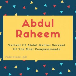 Abdul raheem name meaning Variant Of Abdul-Rahim- Servant Of The Most Compassionate.