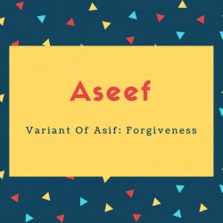 Aseef Name Meaning Variant Of Asif_ Forgiveness