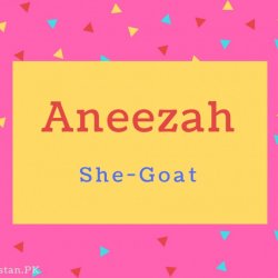 Aneezah Name Meaning She-Goat