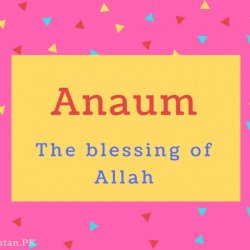 Anaum Name Meaning The blessing of Allah.