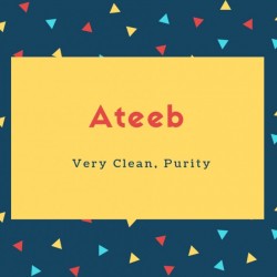 Ateeb Name Meaning Very Clean, Purity