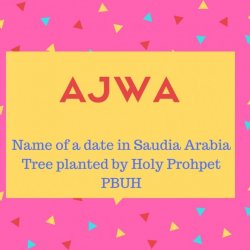 Ajwa Name Meaning Name of a date in Saudia Arabia Tree planted by Holy Prohpet PBUH