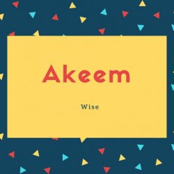 Akeem Name Meaning Wise