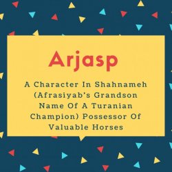 Arjasp Name Meaning A Character In Shahnameh (AfrasiyAb&#039;s Grandson Name Of A Turanian Champion) Possessor Of Valuable Horses