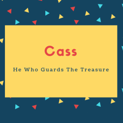 Cass Name Meaning He Who Guards The Treasure