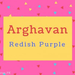 Arghavan Name Meaning Redish Purple