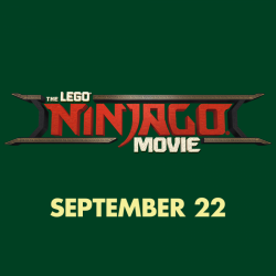 The LEGO Ninjago 14