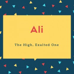 Ali Name Meaning The High, Exalted One