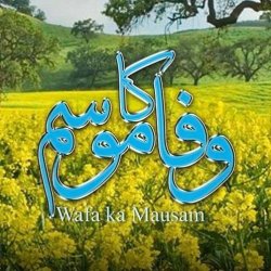 Wafa Ka Mausam - Poster
