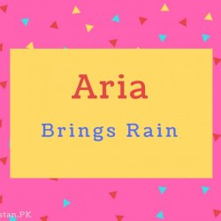 Aria Name Meaning Brings Rain.