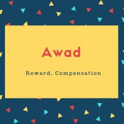 Awad Name Meaning Reward, Compensation