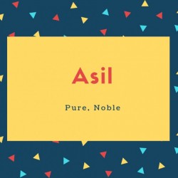 Asil Name Meaning Pure, Noble