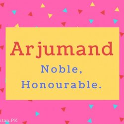 Arjumand name Meaning Noble, Honourable.