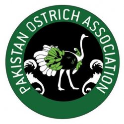 Pakistan Ostrich Company Logo