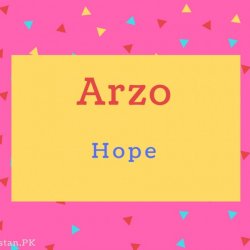 Arzo name Meaning Hope.