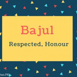 Bajul Name Meaning Respected, Honour