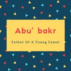 Abu&#039; bakr Name Meaning Father Of A Young Camel