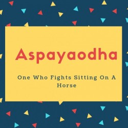 Aspayaodha Name Meaning One Who Fights Sitting On A Horse