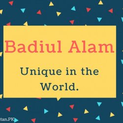Badiul Alam Name Meaning Unique in the World.