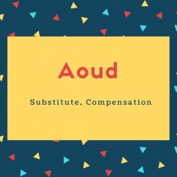 Aoud Name Meaning Substitute, Compensation