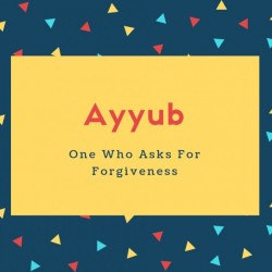 Ayyub Name Meaning One Who Asks For Forgiveness