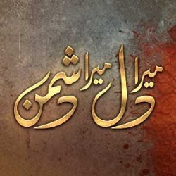 Mera Dil Mera Dushman - Full Drama Information