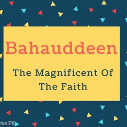 Bahauddeen Name Meaning The Magnificent Of The Faith