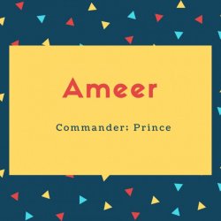 Ameer Name Meaning Commander; Prince