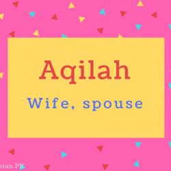 Aqilah Name Meaning Wife, spouse.