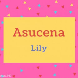 Asucena name Meaning Lily.