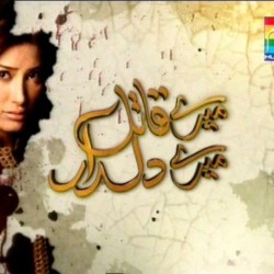 Mere Qatil Mere Dildar- Full Drama Information