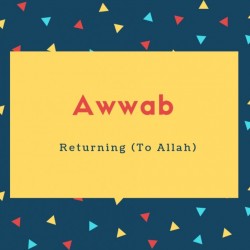 Awwab Name Meaning Returning (To Allah)