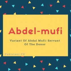 Abdel-mufi