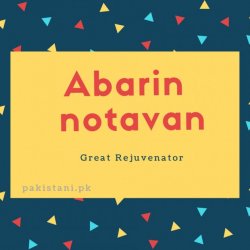 Abarin notavan name meaning Great Rejuvenator.