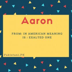Aaron name meaning in Ameracan meaning:Exalted one.