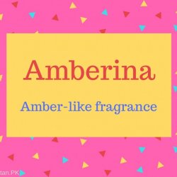 Amberina Name Meaning Amber-like fragrance.