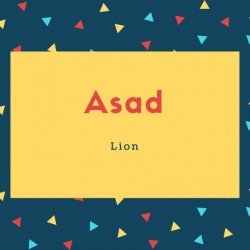 Asad Name Meaning Lion