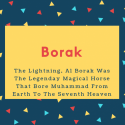 Borak Name Meaning The Lightning, Al Borak Was The Legenday Magical Horse That Bore Muhammad From Earth To The Seventh Heaven