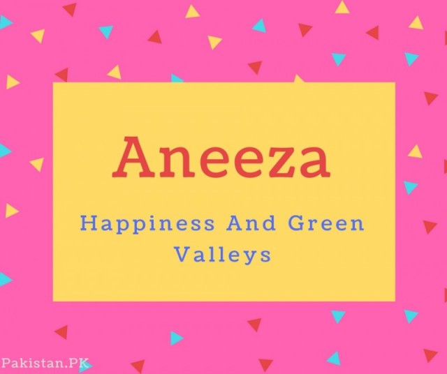 Aneeza