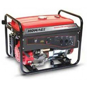 Homage HGR 5.00KV-D with ATS Petrol Generator