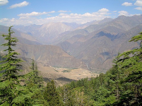 Chitral Gol National Park