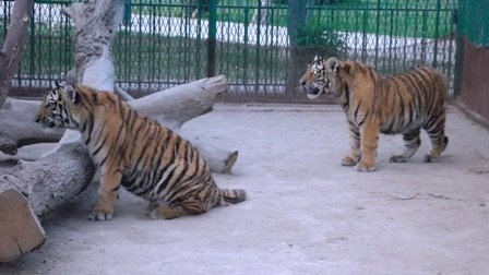 Bahawalpur Zoo