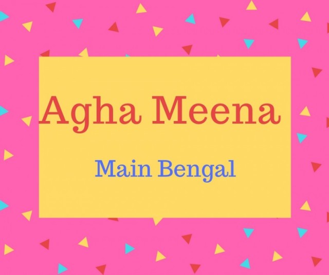 Agha Meena