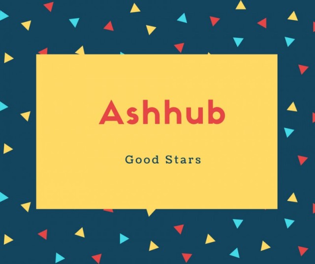 Ashhub