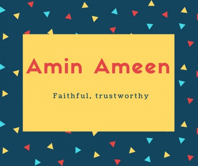 Amin Ameen